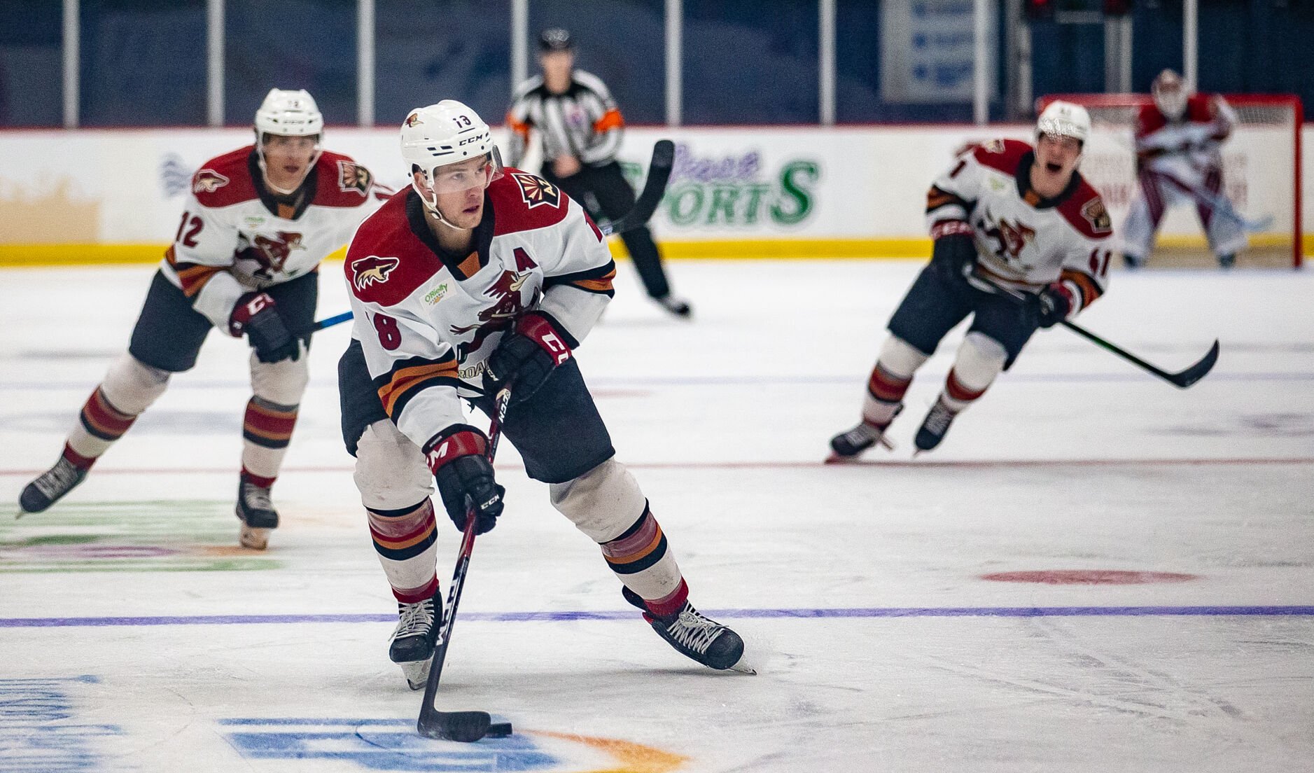 Roadrunners Vs Barracuda